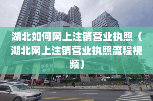 湖北如何网上注销营业执照（湖北网上注销营业执照流程视频）