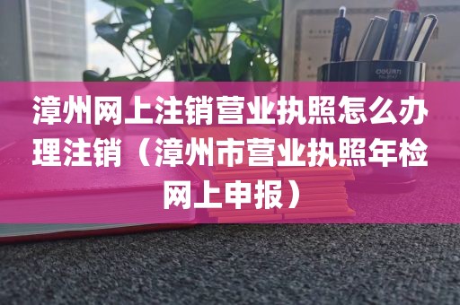 漳州网上注销营业执照怎么办理注销（漳州市营业执照年检网上申报）