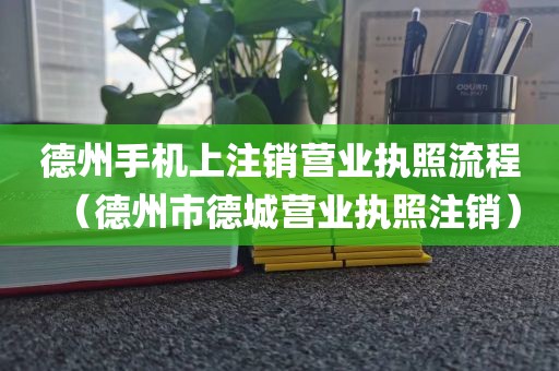 德州手机上注销营业执照流程（德州市德城营业执照注销）
