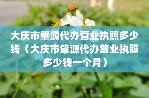 大庆市肇源代办营业执照多少钱（大庆市肇源代办营业执照多少钱一个月）