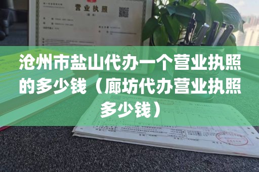 沧州市盐山代办一个营业执照的多少钱（廊坊代办营业执照多少钱）