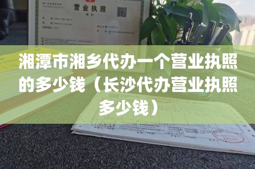 湘潭市湘乡代办一个营业执照的多少钱（长沙代办营业执照多少钱）