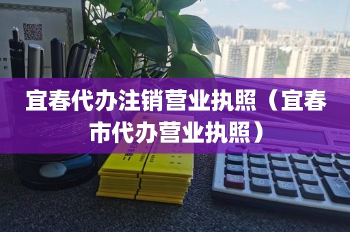 宜春代办注销营业执照（宜春市代办营业执照）