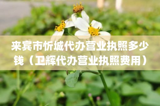 来宾市忻城代办营业执照多少钱(卫辉代办营业执照费用)