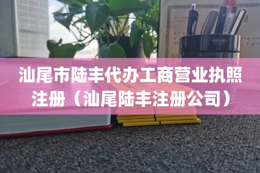 汕尾市陆丰代办工商营业执照注册(汕尾陆丰注册公司)