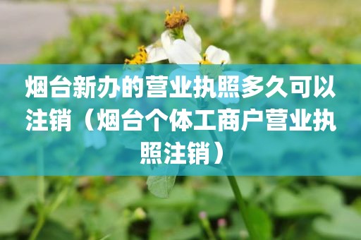 烟台新办的营业执照多久可以注销（烟台个体工商户营业执照注销）