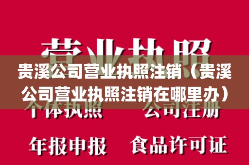 贵溪公司营业执照注销(贵溪公司营业执照注销在哪里办)