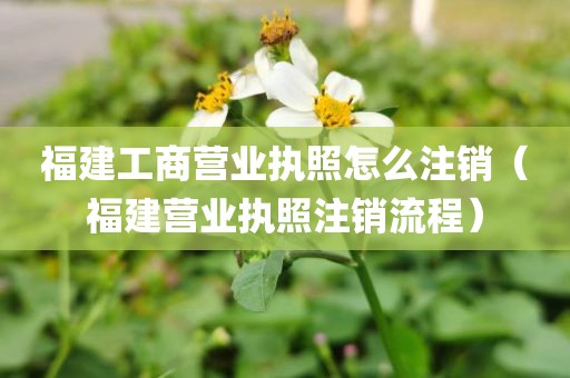 福建工商营业执照怎么注销（福建营业执照注销流程）