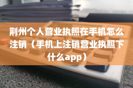 荆州个人营业执照在手机怎么注销（手机上注销营业执照下什么app）