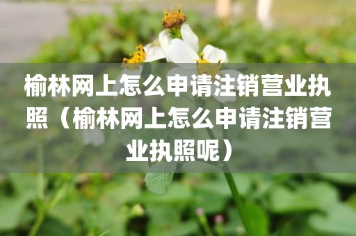 榆林网上怎么申请注销营业执照（榆林网上怎么申请注销营业执照呢）