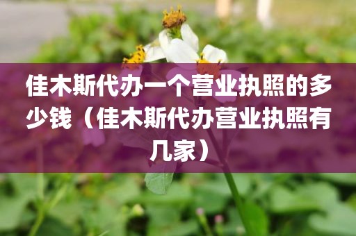 佳木斯代办一个营业执照的多少钱（佳木斯代办营业执照有几家）