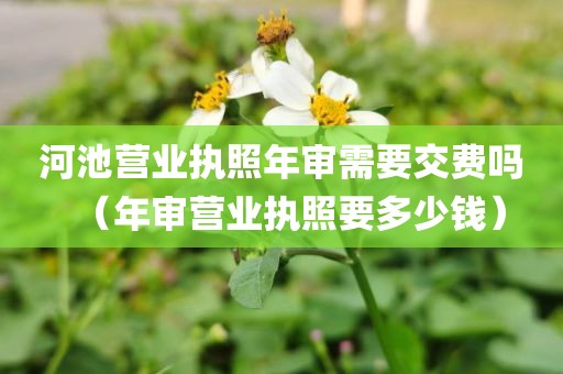 河池营业执照年审需要交费吗（年审营业执照要多少钱）