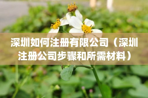 深圳如何注册有限公司(深圳注册公司步骤和所需材料)