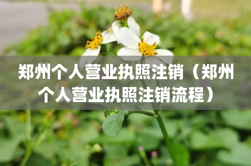 郑州个人营业执照注销（郑州个人营业执照注销流程）