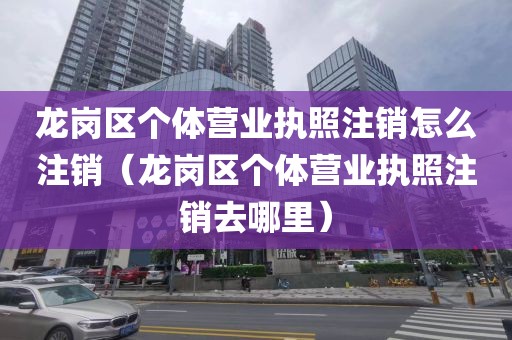 龙岗区个体营业执照注销怎么注销(龙岗区个体营业执照注销去哪里)