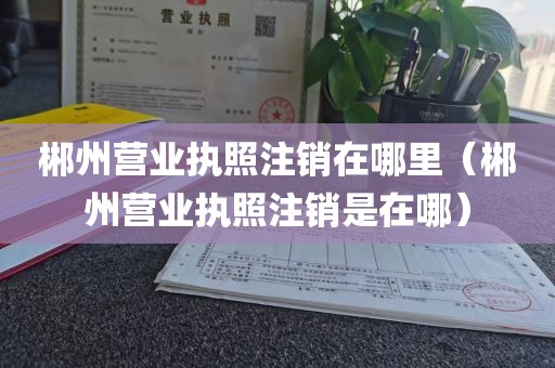 郴州营业执照注销在哪里（郴州营业执照注销是在哪）