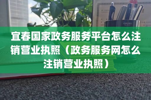 宜春国家政务服务平台怎么注销营业执照（政务服务网怎么注销营业执照）