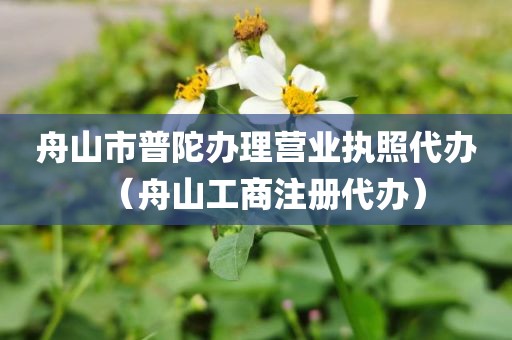 舟山市普陀办理营业执照代办（舟山工商注册代办）
