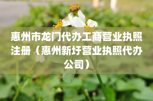 惠州市龙门代办工商营业执照注册（惠州新圩营业执照代办公司）