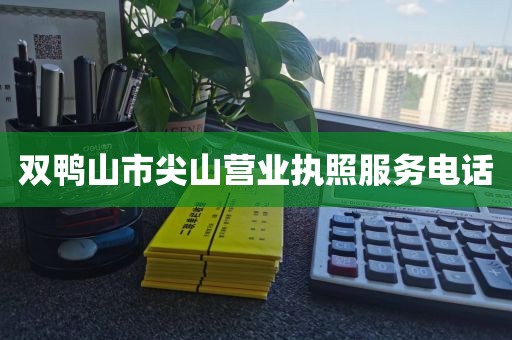 双鸭山市尖山营业执照服务电话