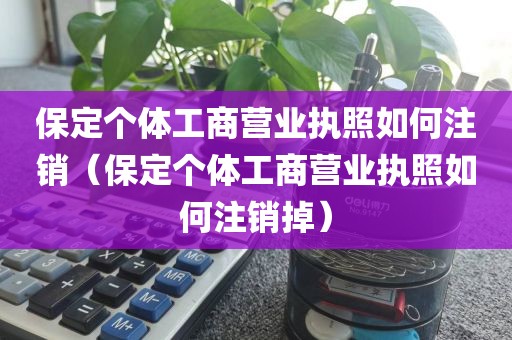 保定个体工商营业执照如何注销（保定个体工商营业执照如何注销掉）