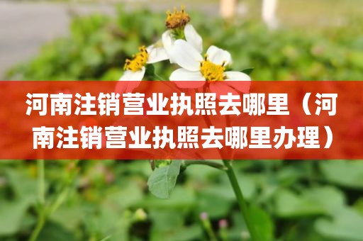 河南注销营业执照去哪里(河南注销营业执照去哪里办理)