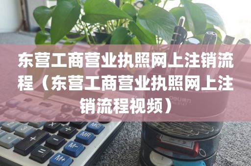 东营工商营业执照网上注销流程(东营工商营业执照网上注销流程视频)