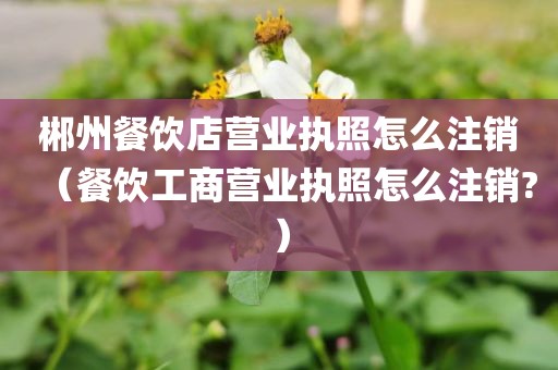 郴州餐饮店营业执照怎么注销（餐饮工商营业执照怎么注销?）