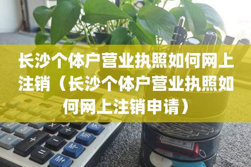 长沙个体户营业执照如何网上注销（长沙个体户营业执照如何网上注销申请）