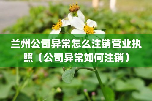 兰州公司异常怎么注销营业执照（公司异常如何注销）