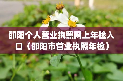邵阳个人营业执照网上年检入口（邵阳市营业执照年检）