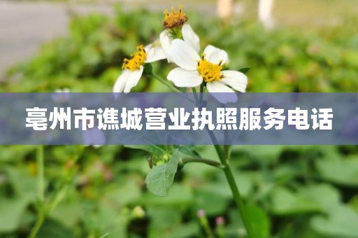 亳州市谯城营业执照服务电话