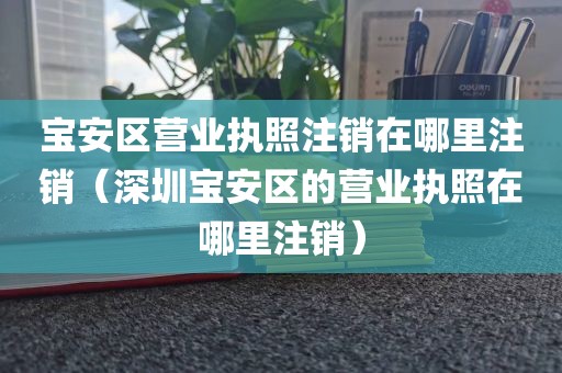 宝安区营业执照注销在哪里注销（深圳宝安区的营业执照在哪里注销）