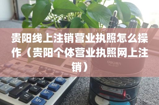 贵阳线上注销营业执照怎么操作（贵阳个体营业执照网上注销）