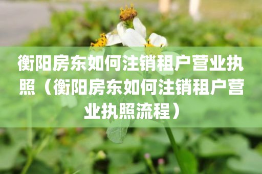 衡阳房东如何注销租户营业执照（衡阳房东如何注销租户营业执照流程）