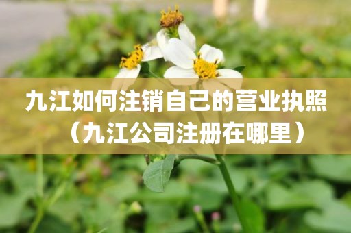 九江如何注销自己的营业执照（九江公司注册在哪里）