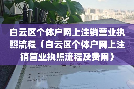 白云区个体户网上注销营业执照流程（白云区个体户网上注销营业执照流程及费用）