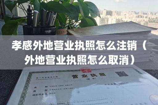 孝感外地营业执照怎么注销（外地营业执照怎么取消）