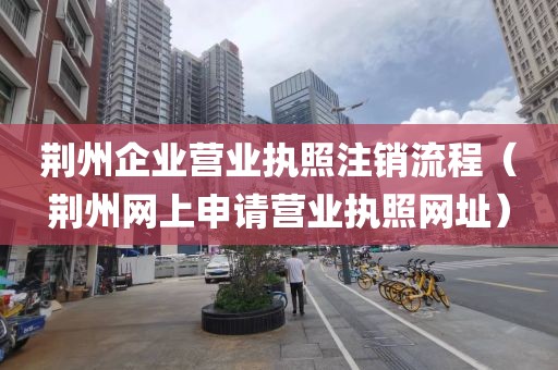 荆州企业营业执照注销流程（荆州网上申请营业执照网址）
