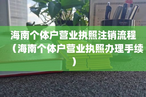 海南个体户营业执照注销流程（海南个体户营业执照办理手续）
