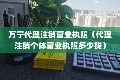 万宁代理注销营业执照（代理注销个体营业执照多少钱）