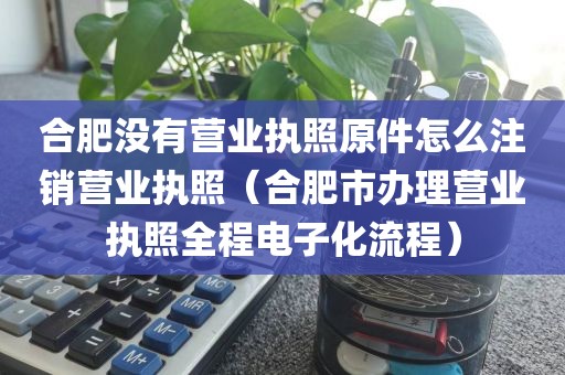 合肥没有营业执照原件怎么注销营业执照（合肥市办理营业执照全程电子化流程）