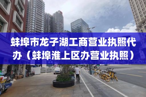 蚌埠市龙子湖工商营业执照代办（蚌埠淮上区办营业执照）