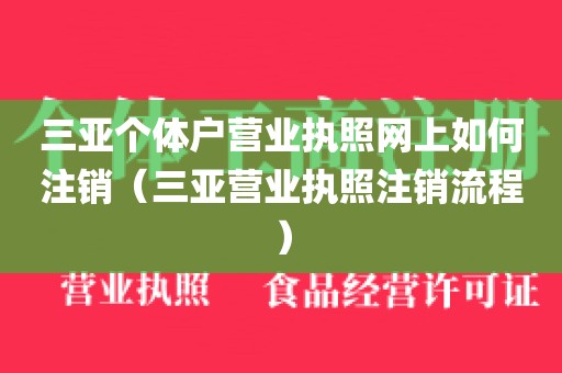 三亚个体户营业执照网上如何注销（三亚营业执照注销流程）