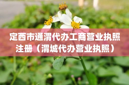 定西市通渭代办工商营业执照注册（渭城代办营业执照）