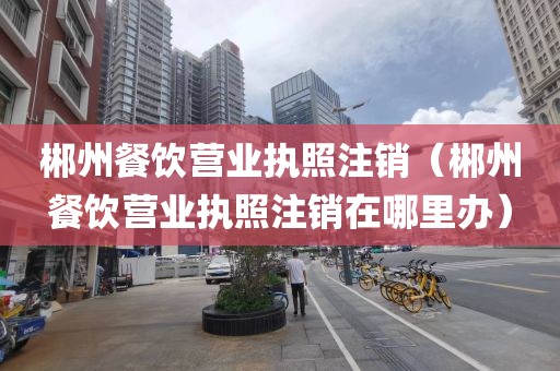 郴州餐饮营业执照注销（郴州餐饮营业执照注销在哪里办）