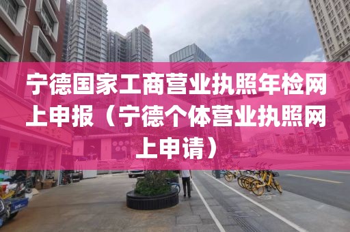 宁德国家工商营业执照年检网上申报（宁德个体营业执照网上申请）