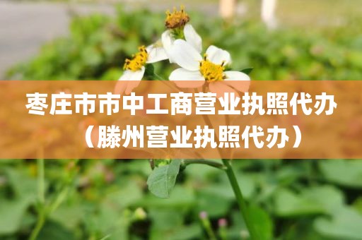 枣庄市市中工商营业执照代办(滕州营业执照代办)