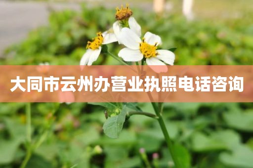 大同市云州办营业执照电话咨询
