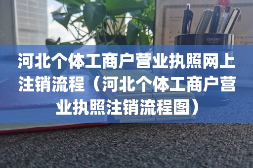河北个体工商户营业执照网上注销流程（河北个体工商户营业执照注销流程图）